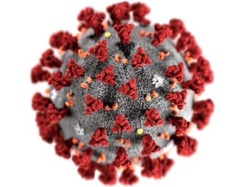 Coronavirus Update